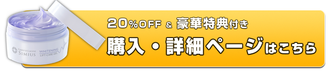 cv_simius_otameshi