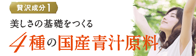 ingr_01_1
