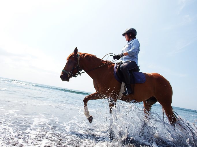 夢の“海岸乗馬”が一年中楽しめる♡「ホーストレッキング館山」で最高の思い出を作ろう