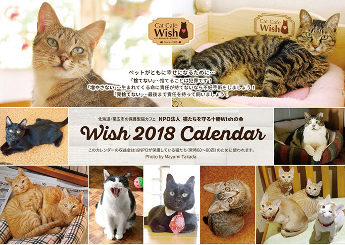 真の猫好き太鼓判！北海道帯広の“猫たちを救いたい”という真摯な思いが伝わるCat Cafe Wish