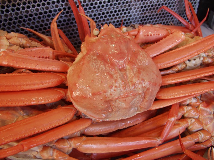 能生漁港で獲れたカニや魚介類が豊富に取り揃えられた日本海の道の駅『道の駅マリンドリーム能生』