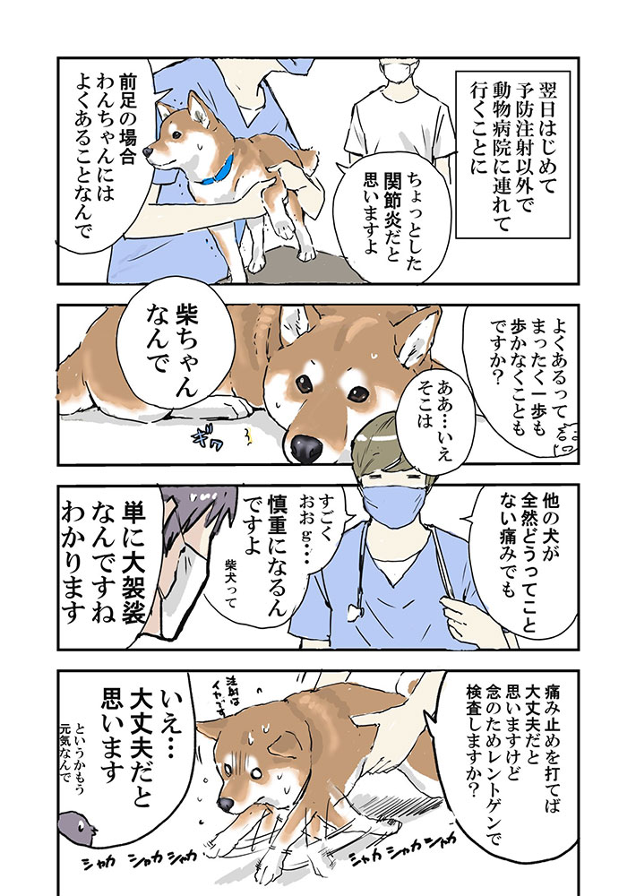 突然動けなくなった愛犬 心配して病院に連れて行くと 笑った なんということ Heaaart