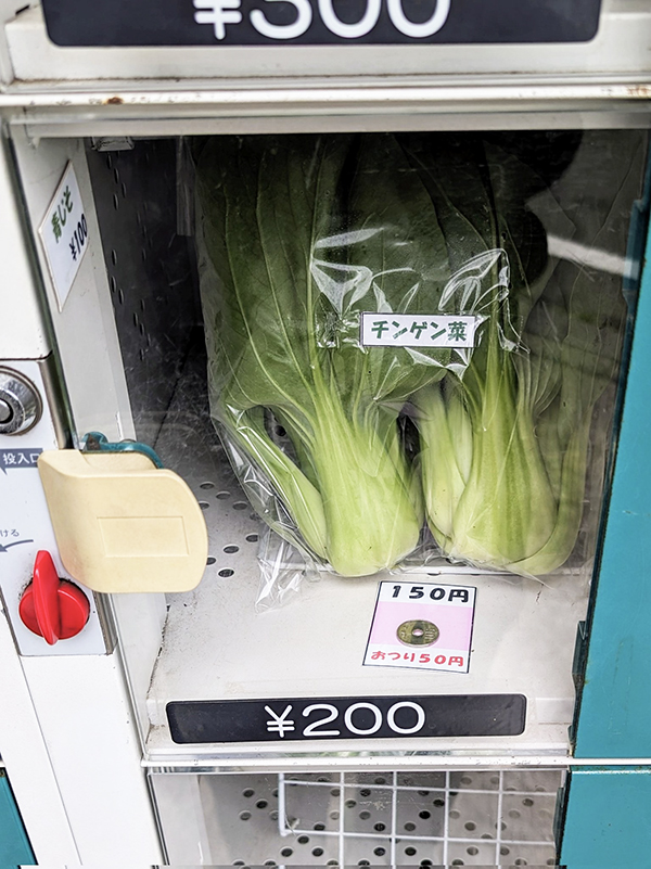 野菜ロッカーの写真