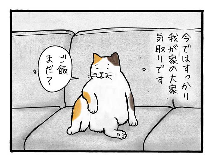 工務店の日報漫画画像