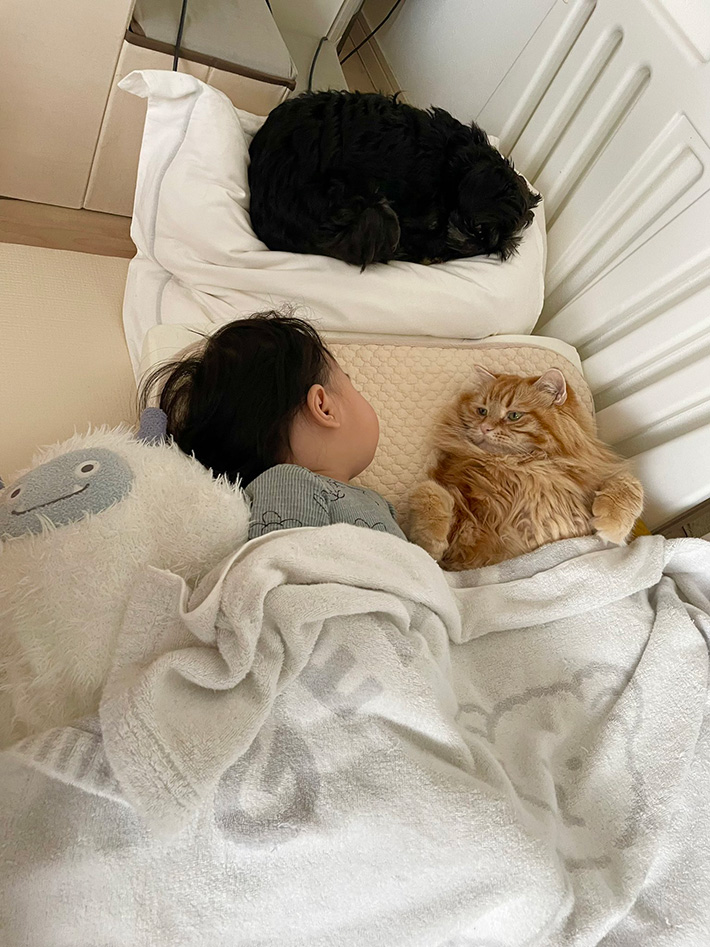 子供と猫の写真