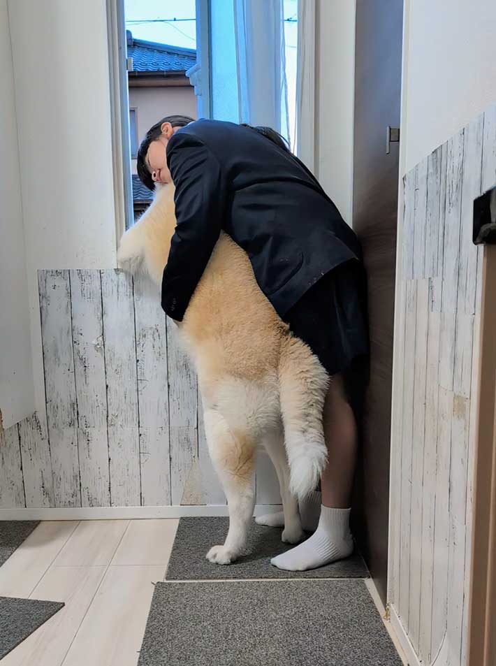 秋田犬と女の子の写真