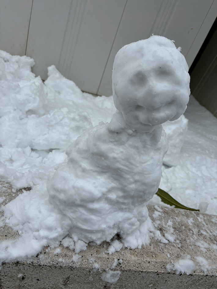 雪だるまの写真