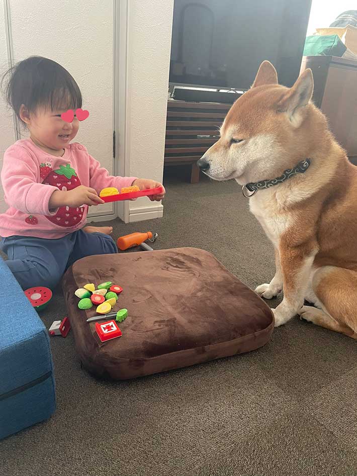 犬と子供の画像