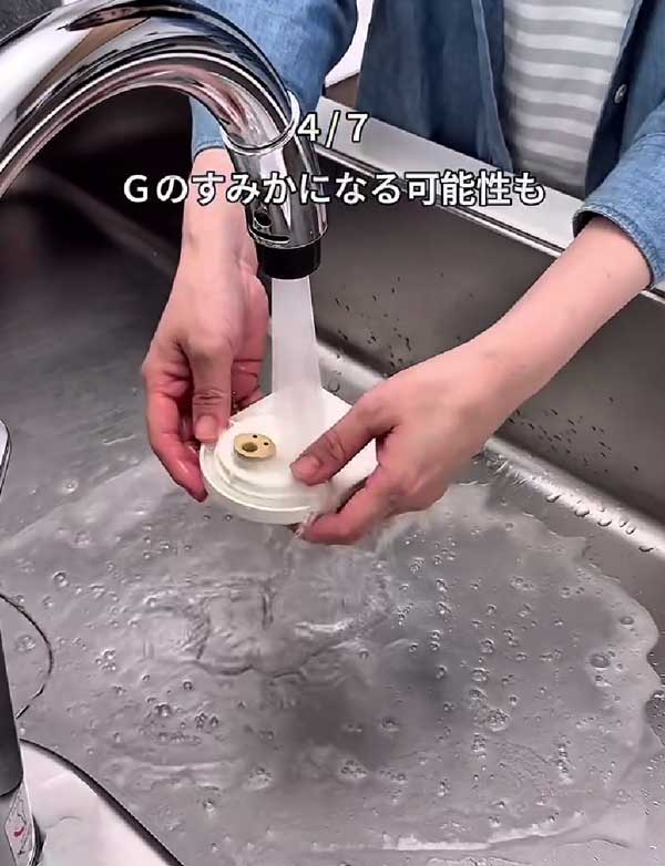ゴキブリ対策の画像