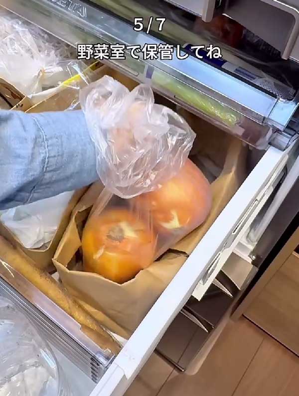 ゴキブリ対策の画像