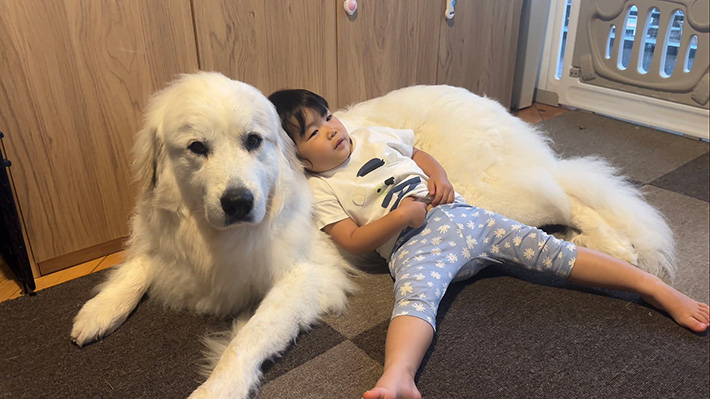 子供と犬の写真