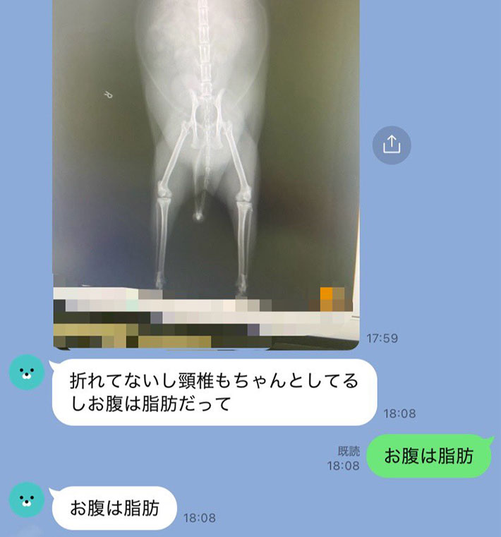 LINEの写真