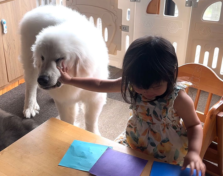 子供と犬の写真