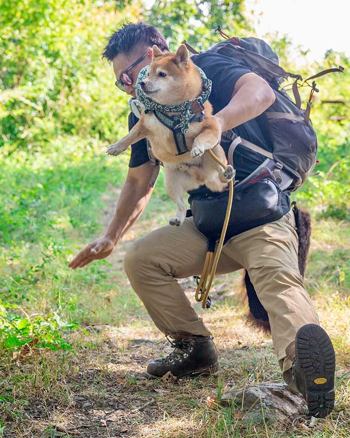 柴犬と飼い主の写真