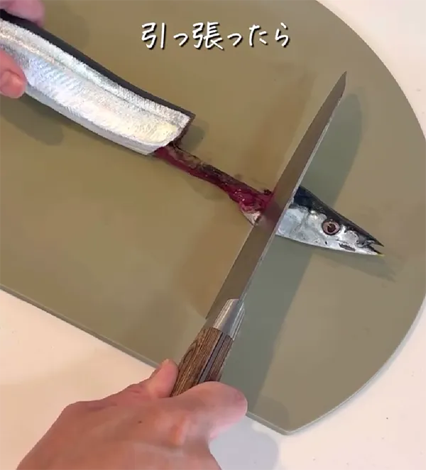 サンマの画像