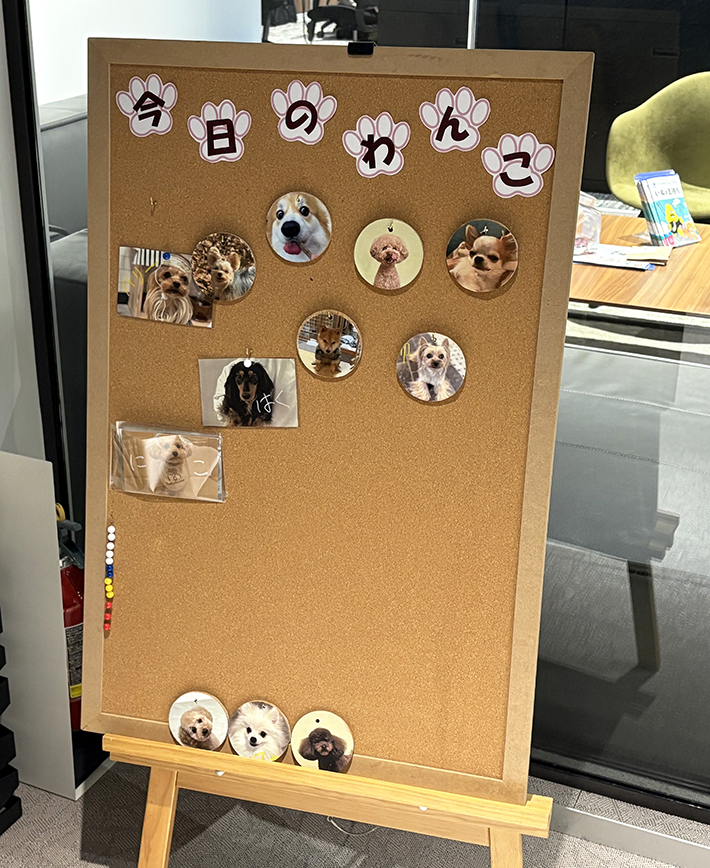 株式会社バイオフィリアの画像（撮影：grape編集部）