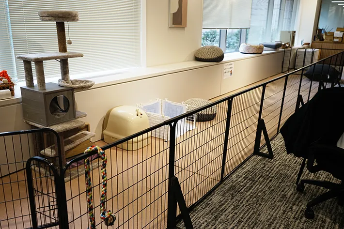 株式会社バイオフィリアの画像（撮影：grape編集部）