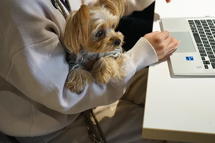 株式会社バイオフィリアの画像（撮影：grape編集部）