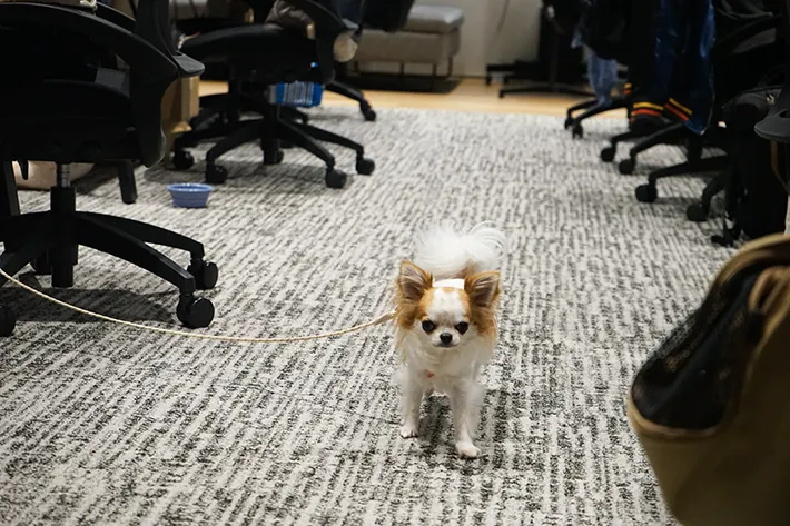 株式会社バイオフィリアの画像（撮影：grape編集部）