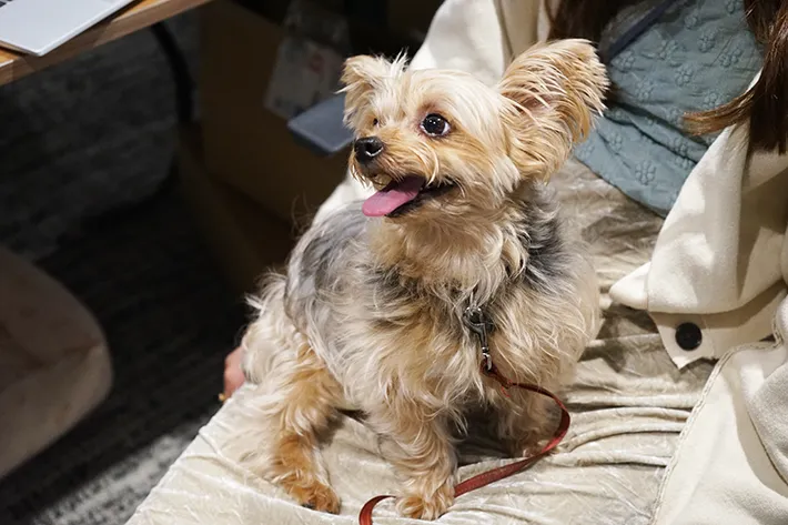 株式会社バイオフィリアの画像（撮影：grape編集部）