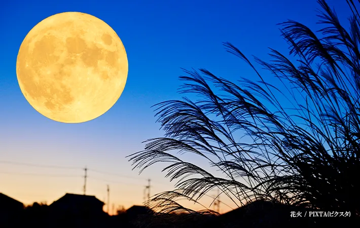 満月の画像