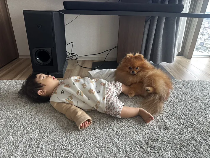 犬と子供の写真
