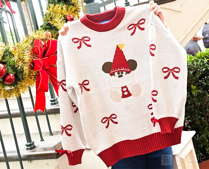 ディズニークリスマス注目グッズ（撮影：grape編集部）