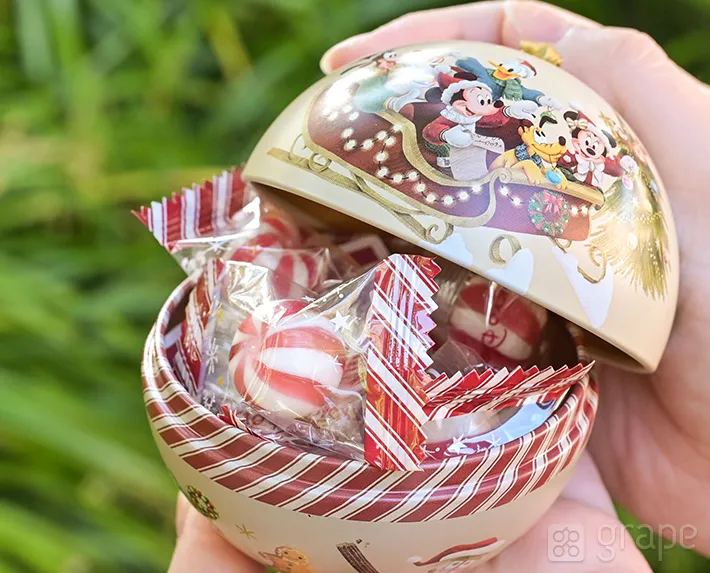 ディズニー土産のキャンディー（撮影：grape編集部）