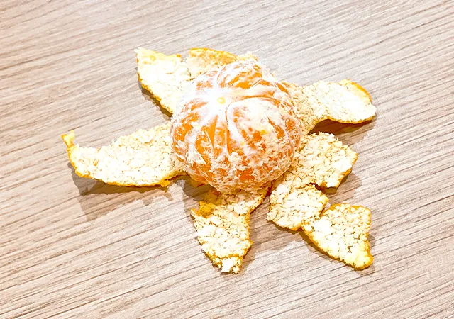 みかん（撮影：grape編集部）