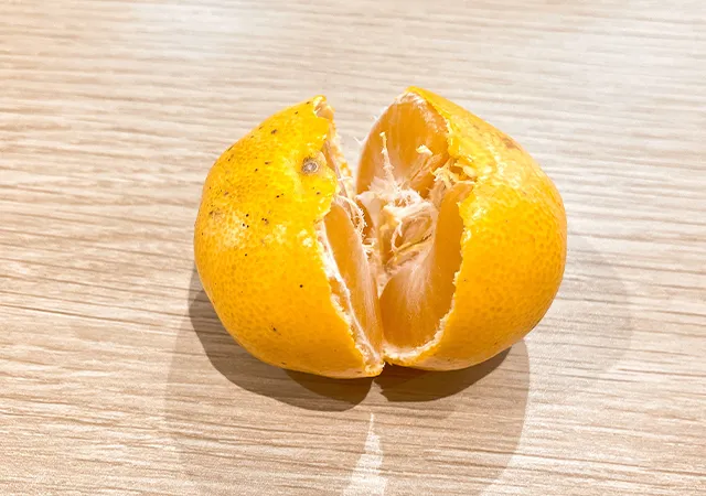 みかん（撮影：grape編集部）