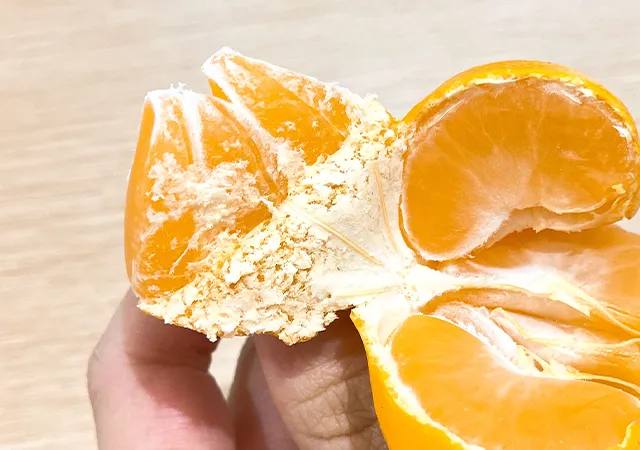 みかん（撮影：grape編集部）