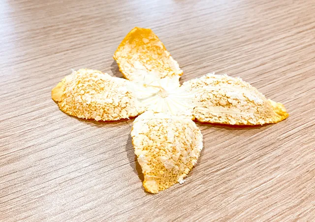 みかん（撮影：grape編集部）