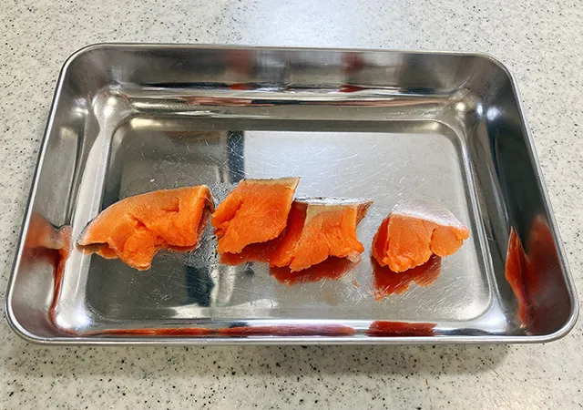 鮭（撮影：grape編集部）