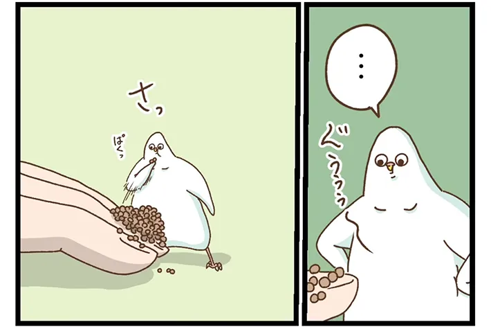 タクセリョリータさんの漫画の画像