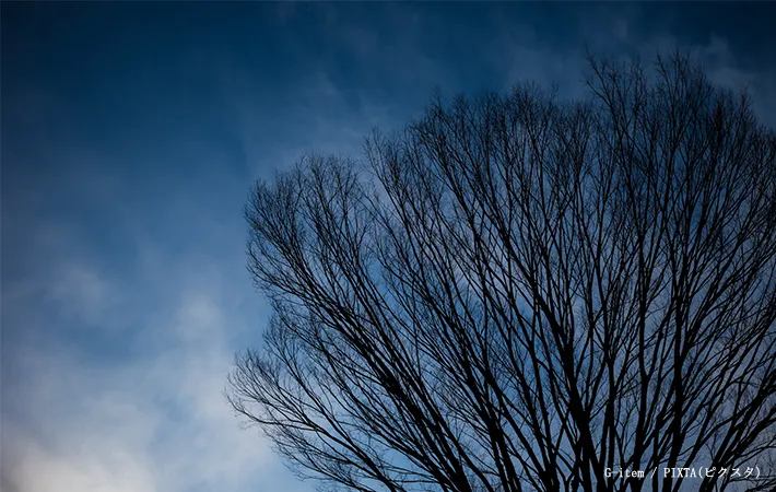 凍空のイメージ写真