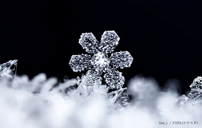 『雪の華』のイメージ写真