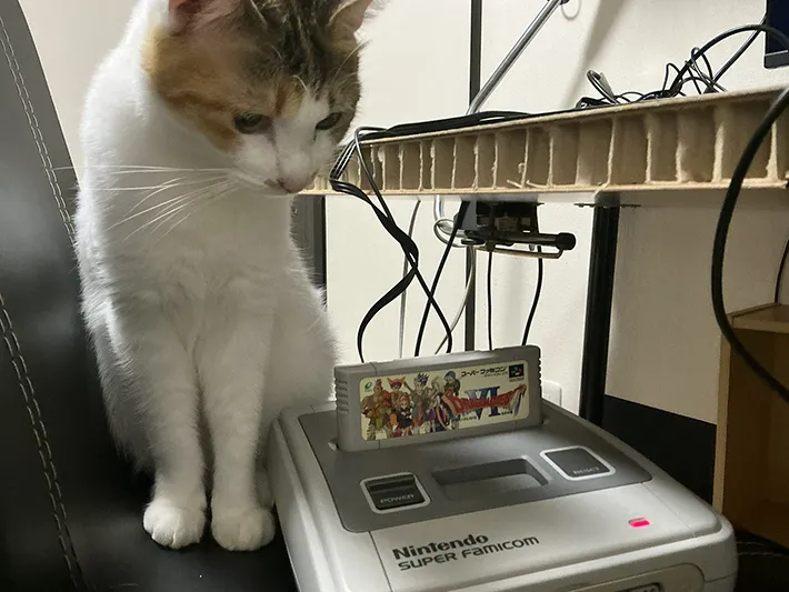 ゲーム機に近づく猫の写真