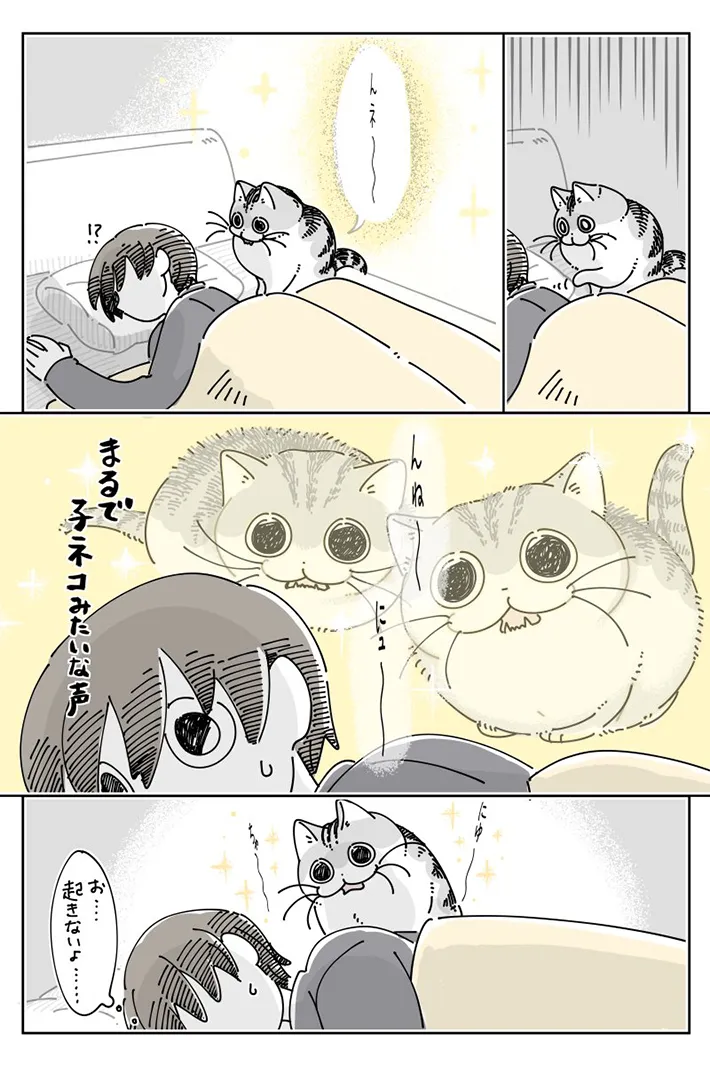 キュルZさんの漫画の画像
